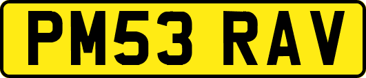 PM53RAV