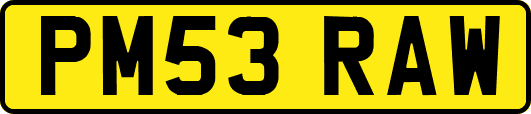PM53RAW