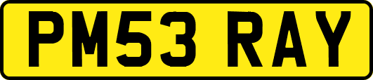 PM53RAY
