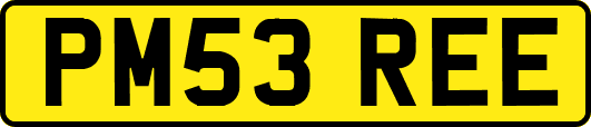 PM53REE
