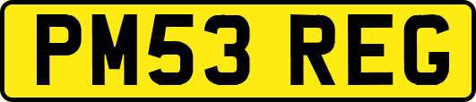 PM53REG