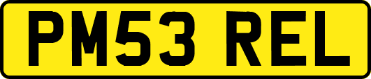 PM53REL