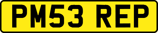 PM53REP