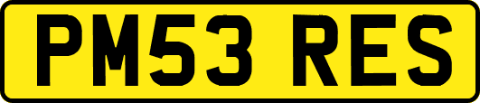 PM53RES
