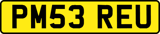PM53REU