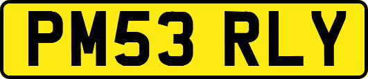 PM53RLY
