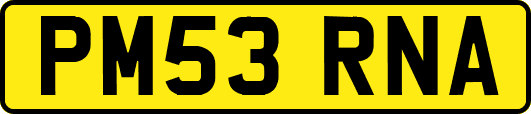 PM53RNA