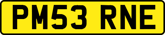 PM53RNE