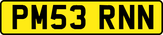 PM53RNN