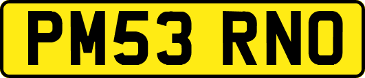 PM53RNO