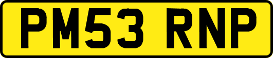 PM53RNP