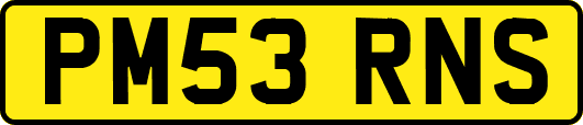 PM53RNS