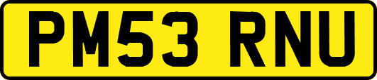 PM53RNU