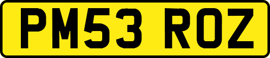 PM53ROZ