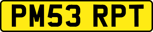 PM53RPT