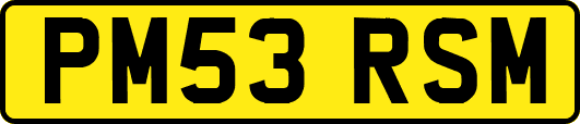 PM53RSM