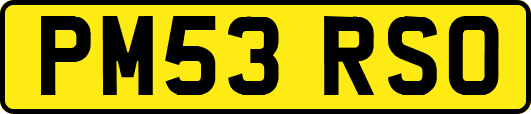 PM53RSO