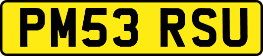 PM53RSU