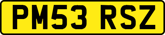 PM53RSZ