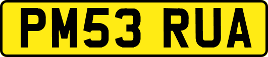 PM53RUA