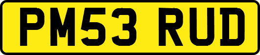 PM53RUD