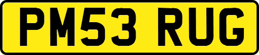PM53RUG