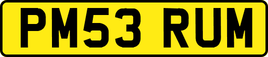 PM53RUM