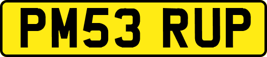 PM53RUP