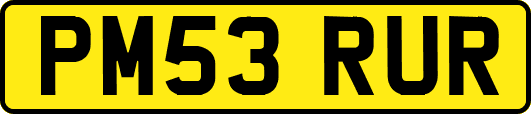 PM53RUR