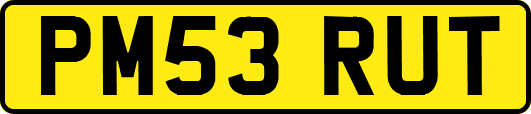 PM53RUT