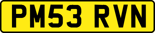 PM53RVN