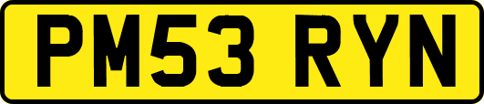 PM53RYN