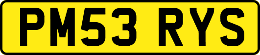 PM53RYS