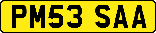 PM53SAA