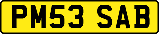 PM53SAB