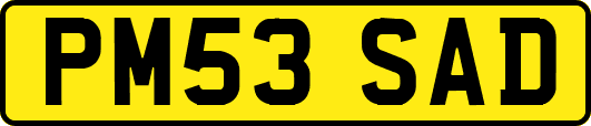 PM53SAD