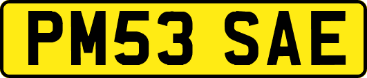 PM53SAE