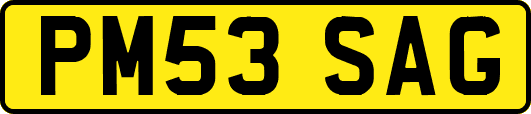 PM53SAG