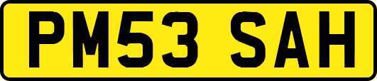 PM53SAH