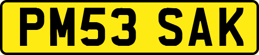 PM53SAK