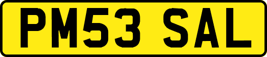 PM53SAL