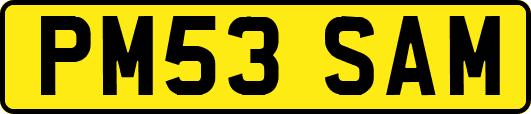 PM53SAM