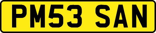 PM53SAN