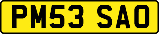 PM53SAO