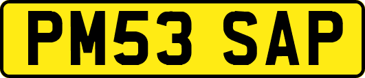 PM53SAP