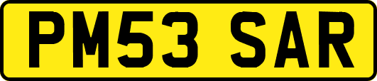 PM53SAR