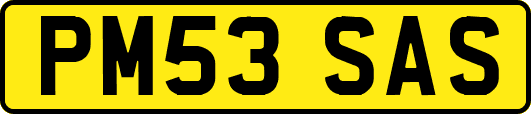 PM53SAS