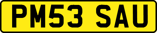 PM53SAU
