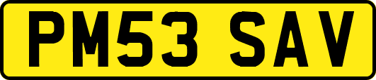 PM53SAV