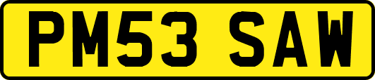 PM53SAW
